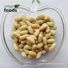 New Crop 100% Raw Blanched Peanut Kernel With Lowest Price